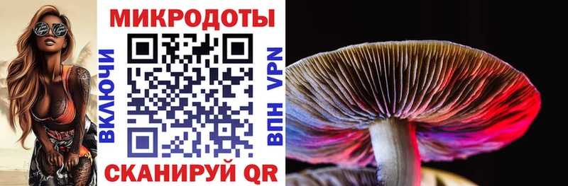 закладки  Северобайкальск  KRAKEN как зайти  Галлюциногенные грибы ЛСД 
