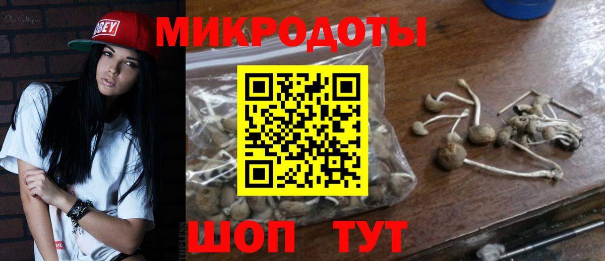 Галлюциногенные грибы GOLDEN TEACHER  Псилоцибиновые грибы ЛСД  Вход с VPN  Северобайкальск 